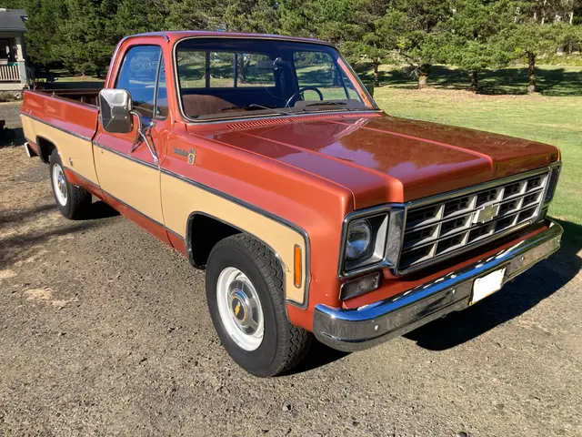 1978 Chevy C20