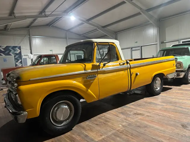 1966 Ford F250